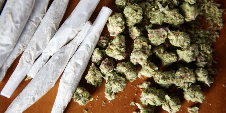 Lutte contre le trafic de stupéfiants : la mobilisation continue à Carpentras et Avignon