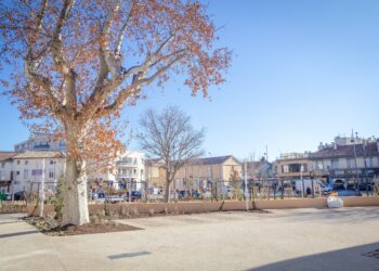 Le Pontet : Agilis réalise une place en béton végétalisé pour lutter contre la chaleur