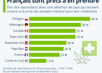 Cannabis médical : 1 Français sur 5 est prêt à en prendre