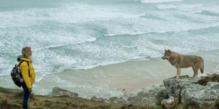 Cinéma : c’est beau la vie avec ‘La Chambre des merveilles’