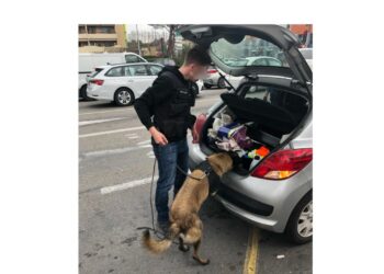 Carpentras, Entraigues, Malemort-du-Comtat, bilan de l’opération Police-Gendarmerie du 8 mars