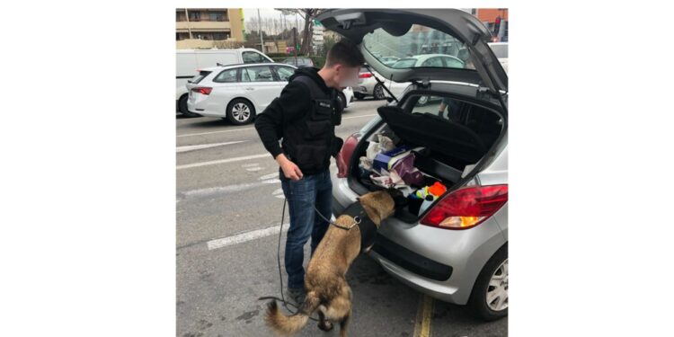 Carpentras, Entraigues, Malemort-du-Comtat, bilan de l’opération Police-Gendarmerie du 8 mars