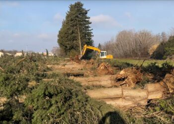 Pour Zap Agroparc, ce n’est pas encore fait pour la future déchèterie du Grand Avignon