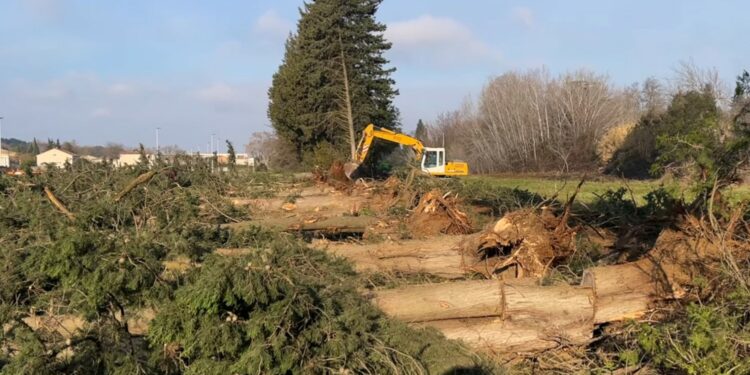Pour Zap Agroparc, ce n’est pas encore fait pour la future déchèterie du Grand Avignon