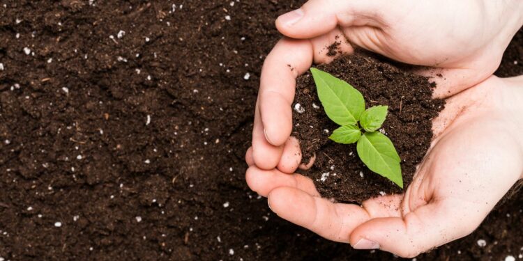 Carpentras : distribution de compost ce vendredi et samedi