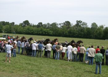Roberty au trot ! La saison 2023 commence dès le mercredi 22 mars