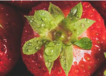 Vaucluse, Quand le printemps signe le retour des marchés