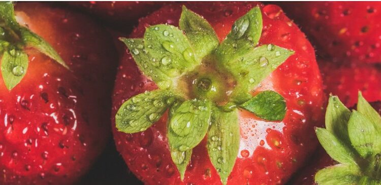 Vaucluse, Quand le printemps signe le retour des marchés