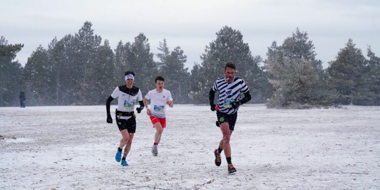 Le Géant de Provence devient une terre de trail