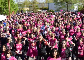 L’Avignonnaise débarque sur l’île de la Barthelasse dimanche 9 avril