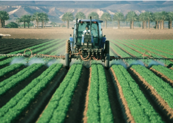 Apt, Un Geiq pour l’emploi agricole