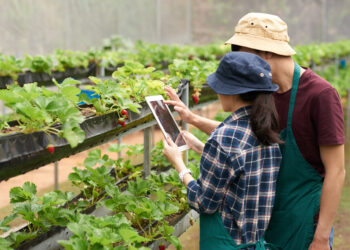 Ventoux Futur : le forum de la biodiversité, de l’innovation et des métiers agricoles de demain