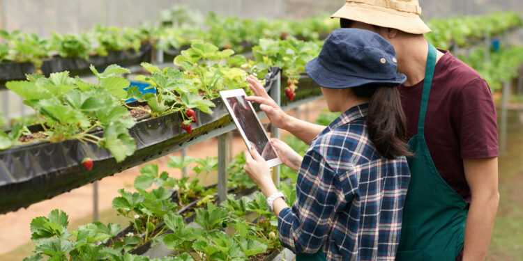 Ventoux Futur : le forum de la biodiversité, de l’innovation et des métiers agricoles de demain