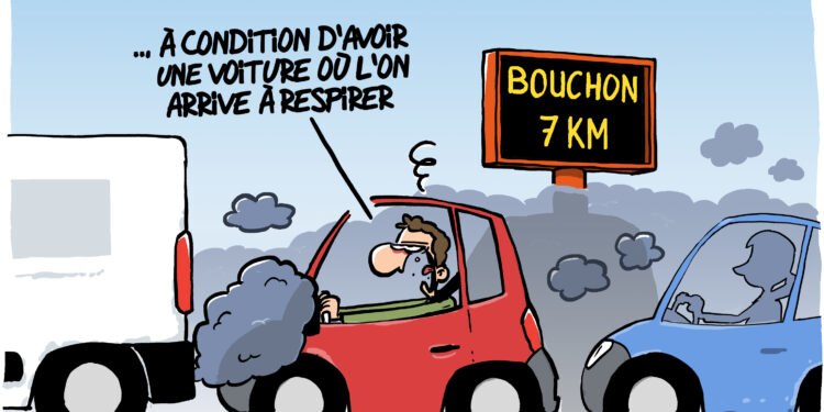 Avignon l’embouteillée où il fait bon vivre vue par Wingz pour l’Echo du Mardi