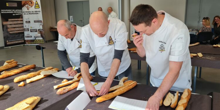 Morières-lès-Avignon : la meilleure baguette du département est faite à la Maison Calvino