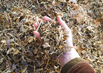 Convertir ses déchets verts pour limiter les apports en déchetterie et stopper le brûlage