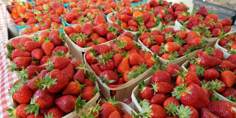 Carpentras fête la fraise