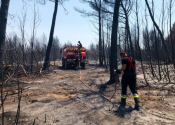 Débroussaillement : 72 000 constructions exposées au risque d’incendie de forêt en Vaucluse