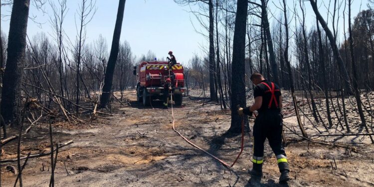 Débroussaillement : 72 000 constructions exposées au risque d’incendie de forêt en Vaucluse