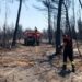 Débroussaillement : 72 000 constructions exposées au risque d’incendie de forêt en Vaucluse