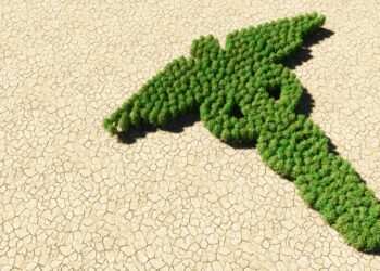 (Vidéo) Deux médecins vauclusiens luttent contre les déserts médicaux dans la Creuse