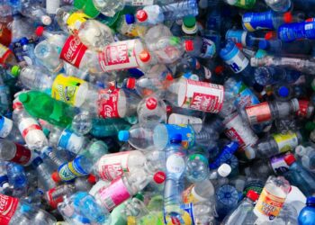 Les élus dévoilent 14 propositions pour lutter efficacement contre la pollution des emballages plastiques