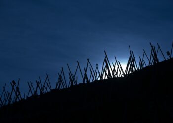 Les vins de la Vallée du Rhône prêts à relever les défis de la mutation de la consommation