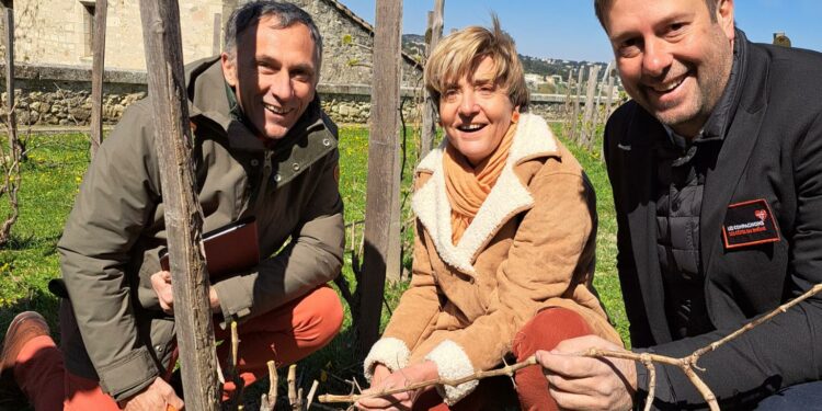 Le Président des Compagnons des Côtes du Rhône, David Bérard, met les bouchées doubles pour la saison 2023