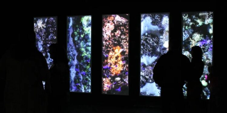 FrenchTech : retour sur le dernier rendez-vous de l’écosystème tech Vauclusien