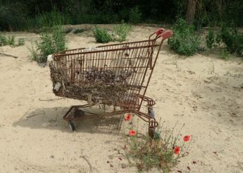 Opération de nettoyage du Cavalon le mercredi 19 avril