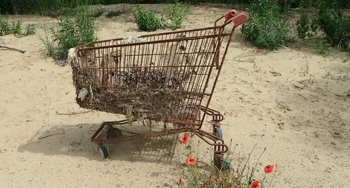 Opération de nettoyage du Cavalon le mercredi 19 avril