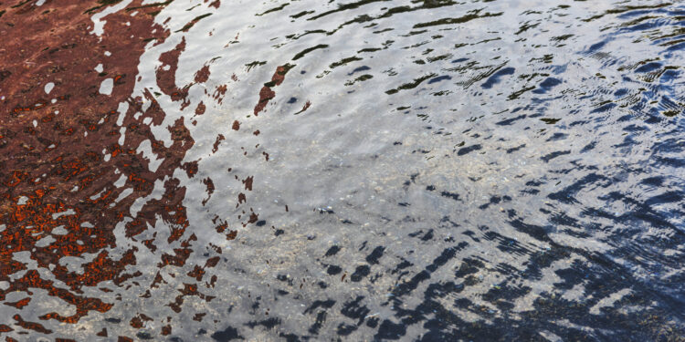 Calavon-Coulon : enquête publique ouverte concernant le plan de prévention des risques d’inondation