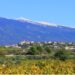 Les offices de tourisme du Ventoux créent leur marque ‘Ventoux – Des terres aux sommets’
