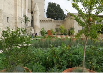 Sous la Roma : le Palais des papes célèbre le printemps dans ses jardins