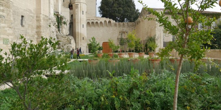 Sous la Roma : le Palais des papes célèbre le printemps dans ses jardins