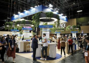 CCI de Vaucluse : dispositifs de financement risingsud