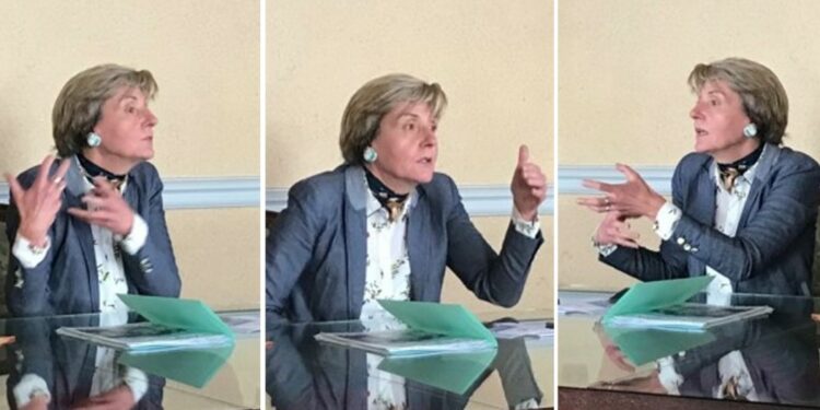 Cécile Helle : «Nous allons continuer à transformer Avignon.»