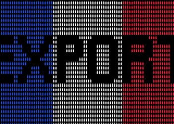 L’export, planche de salut du Syndicat Général des vignerons face à des consommateurs français qui boivent de moins en moins de vin