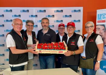 La fraise de Carpentras met tout le monde d’accord
