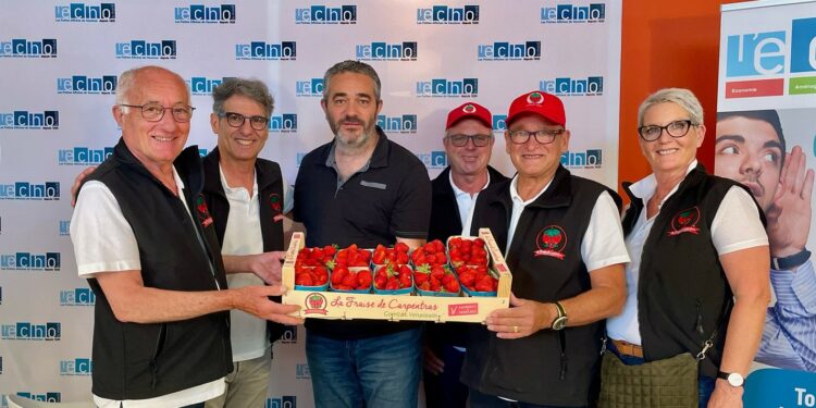 La fraise de Carpentras met tout le monde d’accord