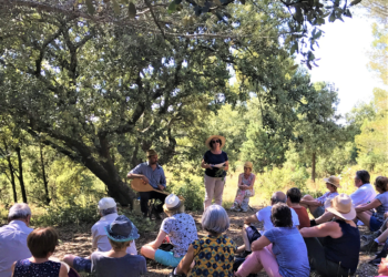 Parc du Mont-Ventoux : se balader autour des arbres du village d’Entrechaux