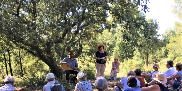 Parc du Mont-Ventoux : se balader autour des arbres du village d’Entrechaux