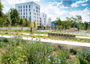 Quartiers résilients, Avignon et Nîmes font partie de la liste