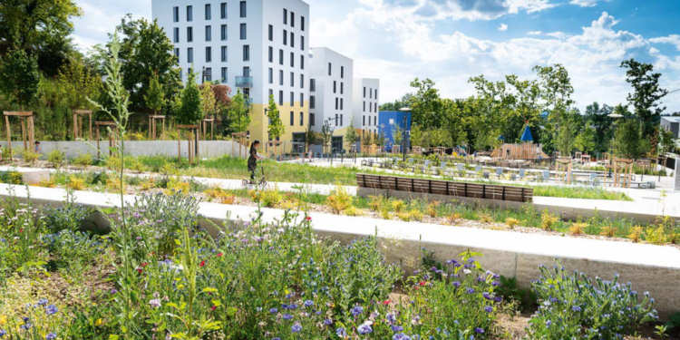 Quartiers résilients, Avignon et Nîmes font partie de la liste