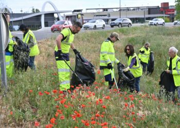 Vaucluse : une journée pour ramasser les déchets avant le fauchage des bords des routes