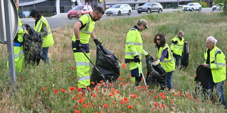 Vaucluse : une journée pour ramasser les déchets avant le fauchage des bords des routes