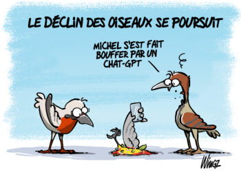 Le déclin des oiseaux par Wingz pour l’Echo du Mardi