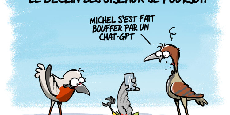 Le déclin des oiseaux par Wingz pour l’Echo du Mardi