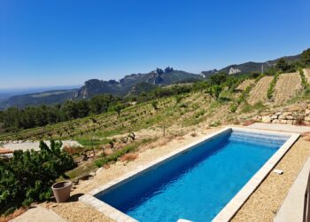 Domaine ‘Demoiselle Suzette’, le paradis sur terre pour son viticulteur, Richard Olivero