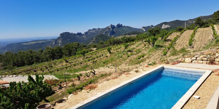 Domaine ‘Demoiselle Suzette’, le paradis sur terre pour son viticulteur, Richard Olivero